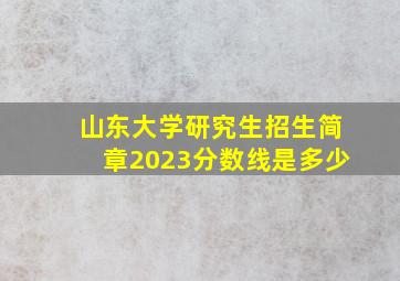 山东大学研究生招生简章2023分数线是多少