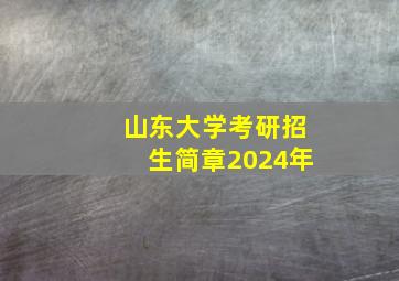 山东大学考研招生简章2024年