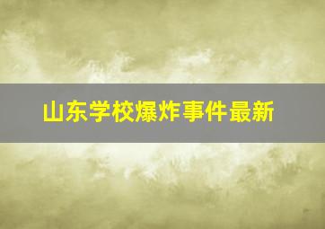 山东学校爆炸事件最新