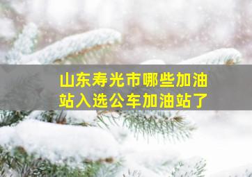 山东寿光市哪些加油站入选公车加油站了