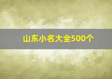 山东小名大全500个