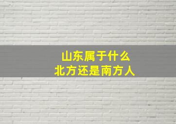 山东属于什么北方还是南方人