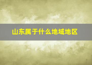 山东属于什么地域地区