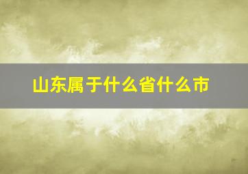 山东属于什么省什么市