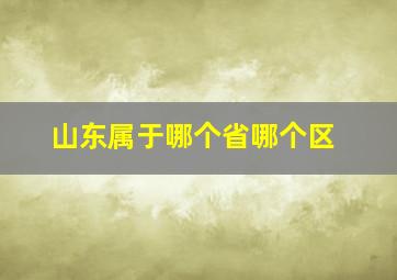 山东属于哪个省哪个区