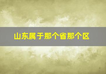 山东属于那个省那个区