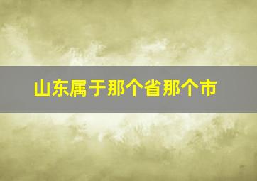 山东属于那个省那个市