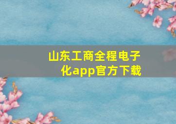 山东工商全程电子化app官方下载