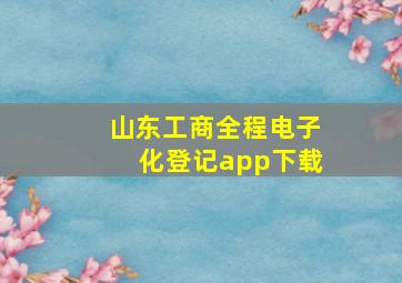 山东工商全程电子化登记app下载