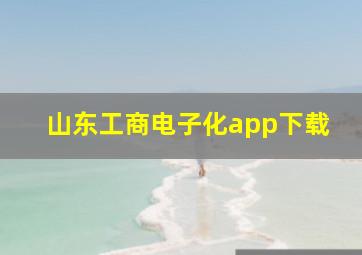 山东工商电子化app下载