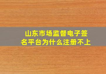 山东市场监督电子签名平台为什么注册不上