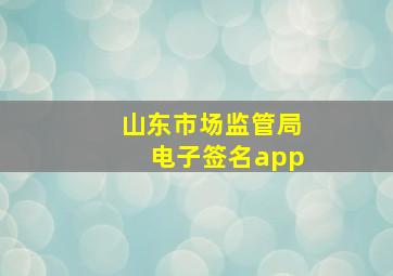 山东市场监管局电子签名app