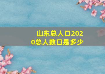 山东总人口2020总人数口是多少