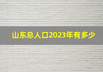 山东总人口2023年有多少