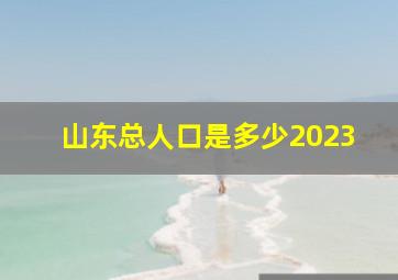 山东总人口是多少2023