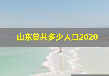 山东总共多少人口2020