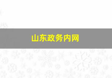 山东政务内网