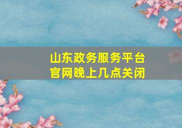 山东政务服务平台官网晚上几点关闭