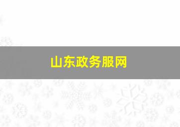 山东政务服网