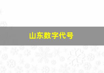 山东数字代号