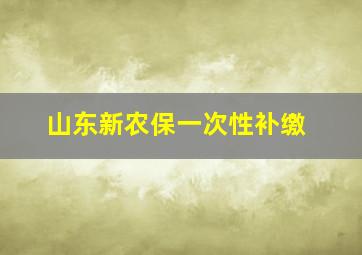 山东新农保一次性补缴