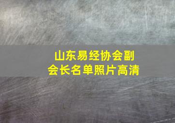 山东易经协会副会长名单照片高清