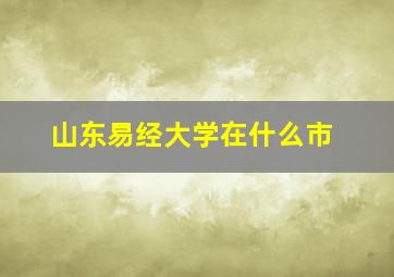 山东易经大学在什么市