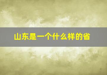 山东是一个什么样的省