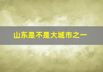 山东是不是大城市之一