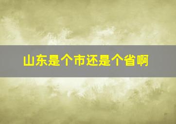 山东是个市还是个省啊