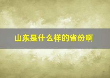 山东是什么样的省份啊