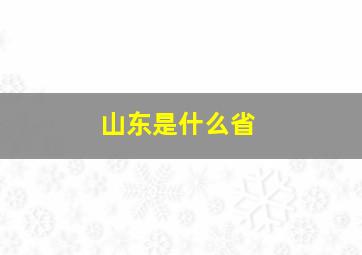 山东是什么省