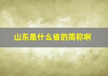 山东是什么省的简称啊