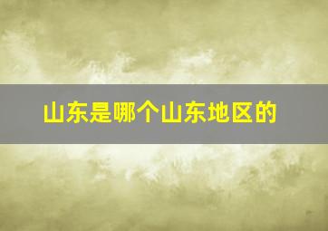 山东是哪个山东地区的