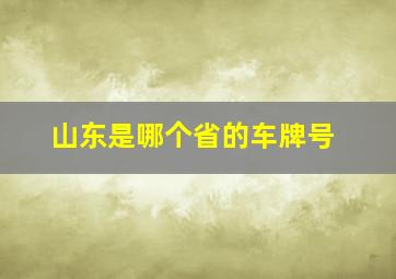 山东是哪个省的车牌号