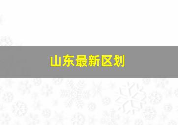 山东最新区划