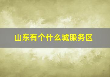 山东有个什么城服务区