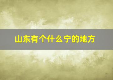 山东有个什么宁的地方