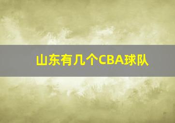 山东有几个CBA球队