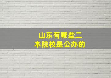 山东有哪些二本院校是公办的