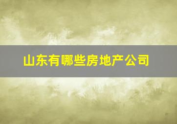 山东有哪些房地产公司