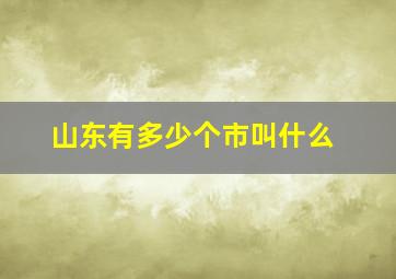 山东有多少个市叫什么