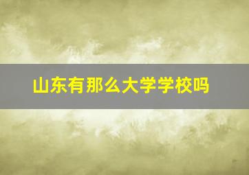 山东有那么大学学校吗