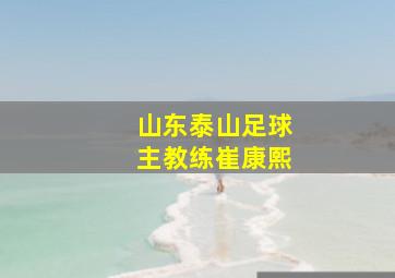 山东泰山足球主教练崔康熙