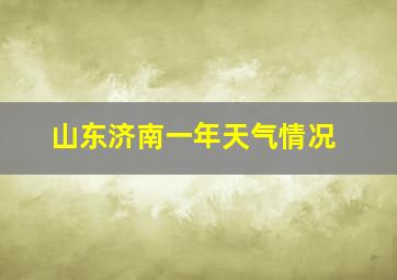 山东济南一年天气情况