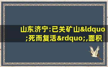 山东济宁:已关矿山“死而复活”,面积扩大十几倍