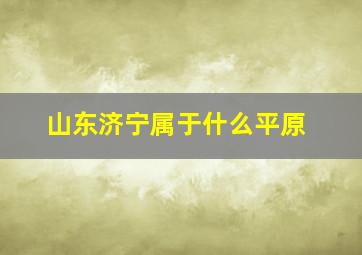 山东济宁属于什么平原