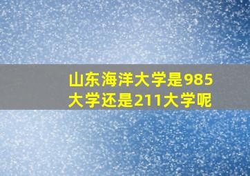 山东海洋大学是985大学还是211大学呢