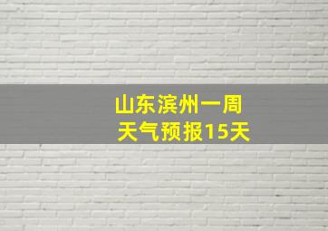 山东滨州一周天气预报15天