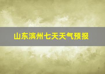 山东滨州七天天气预报